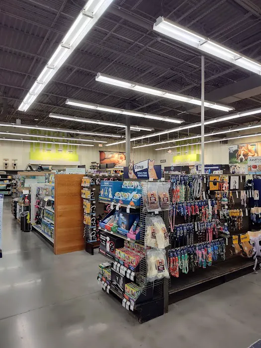 Petco Picture 2
