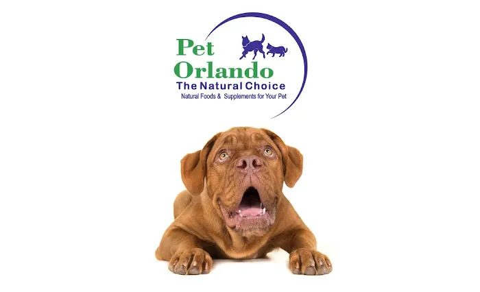 Pet Orlando Picture 7