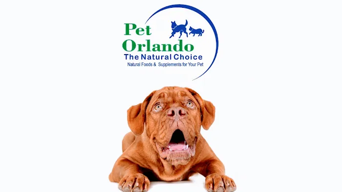 Pet Orlando Picture 6