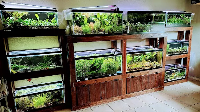 Aquascaping Supply Picture 9