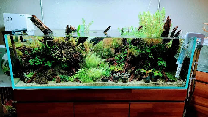 Aquascaping Supply Picture 2