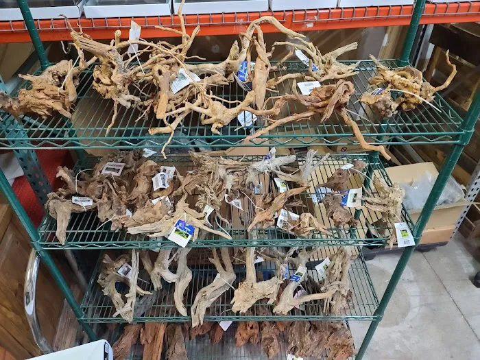 Aquascaping Supply Picture 5
