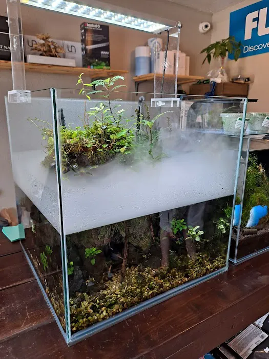 Aquascaping Supply Picture 6
