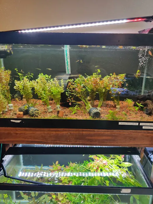 Aquascaping Supply Picture 3