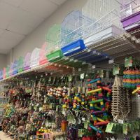 Love Bird Pet Store ico