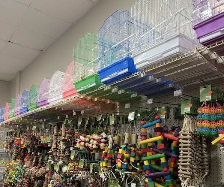 Love Bird Pet Store