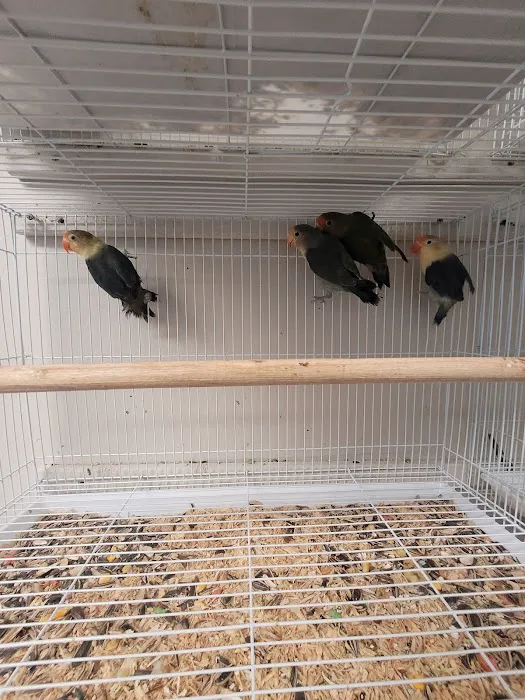 Hector's Pet Store Picture 10