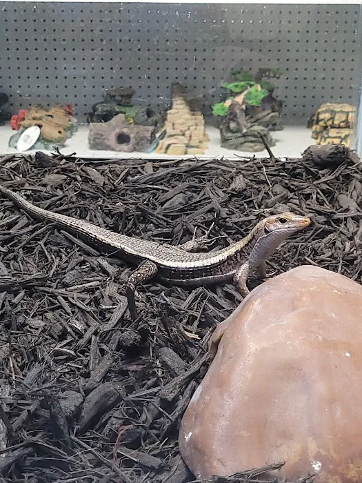 Hector's Pet Store Picture 2