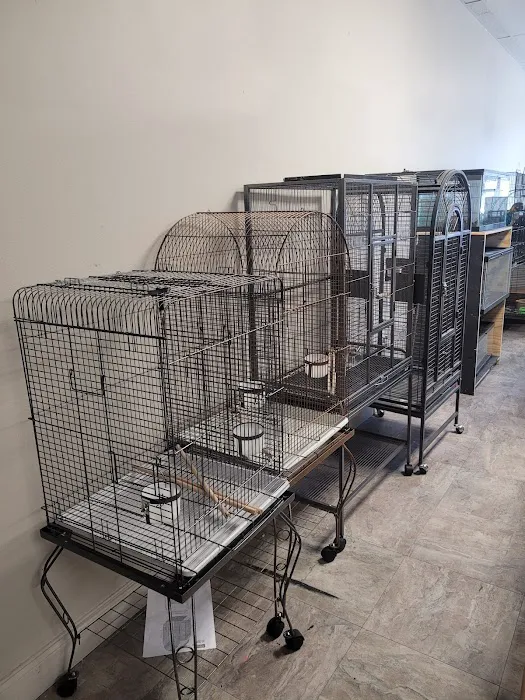 Hector's Pet Store Picture 3
