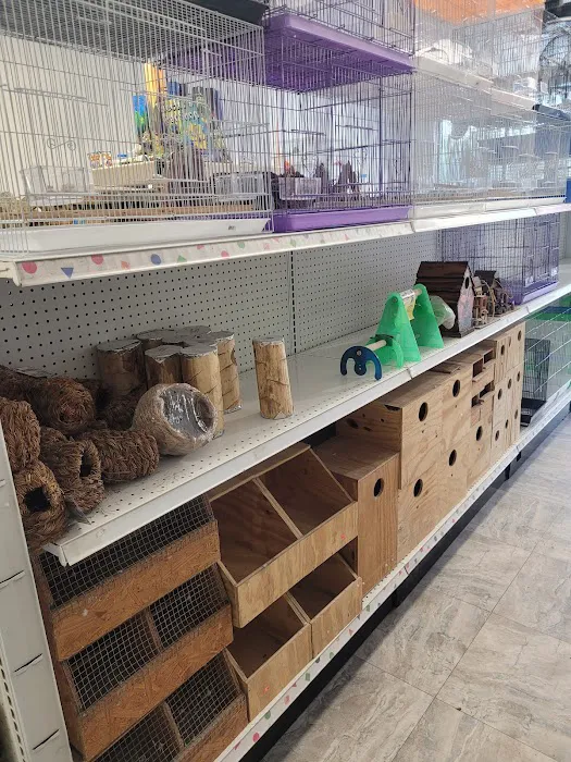 Hector's Pet Store Picture 5