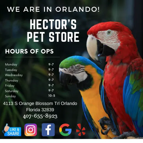 Hector's Pet Store Picture 6
