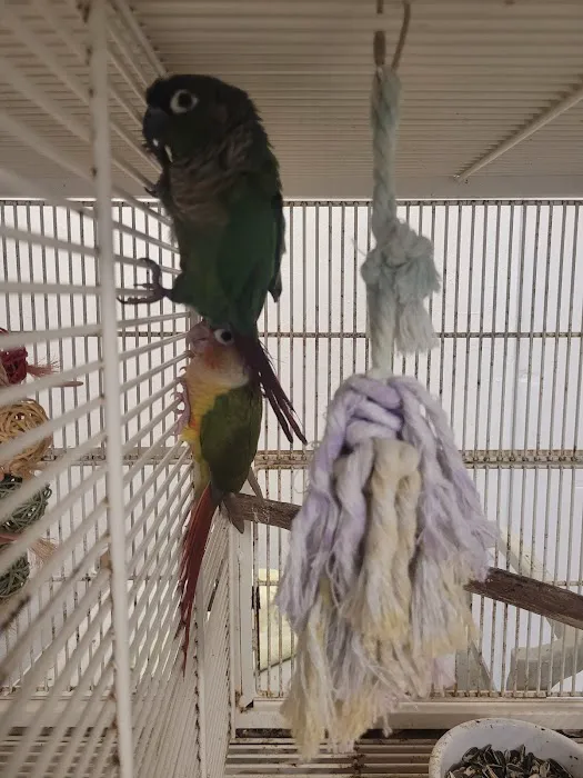 Hector's Pet Store Picture 7
