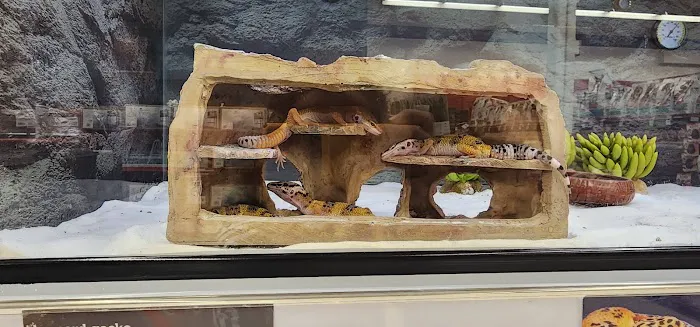 Petco Picture 3