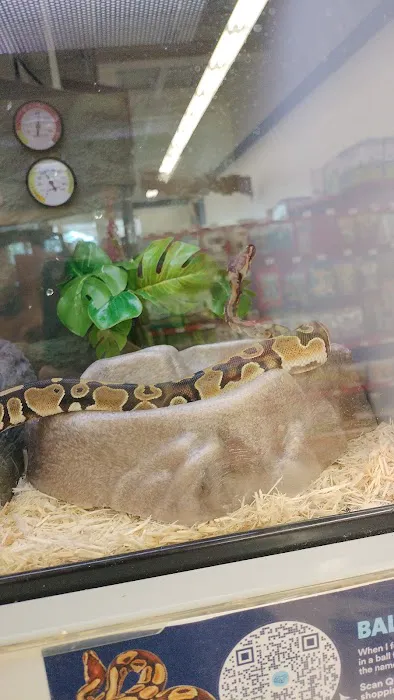 Petco Picture 7