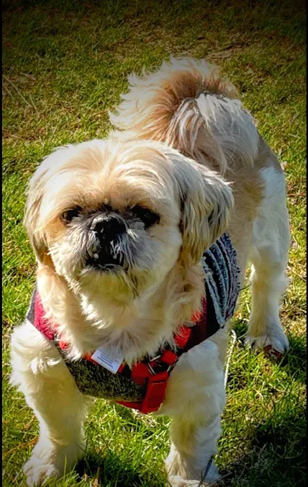 610 Animal Hospital Picture 7