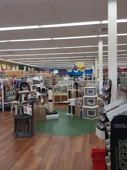 Pet Supermarket Picture 8