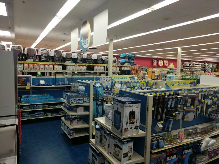 Pet Supermarket Picture 7