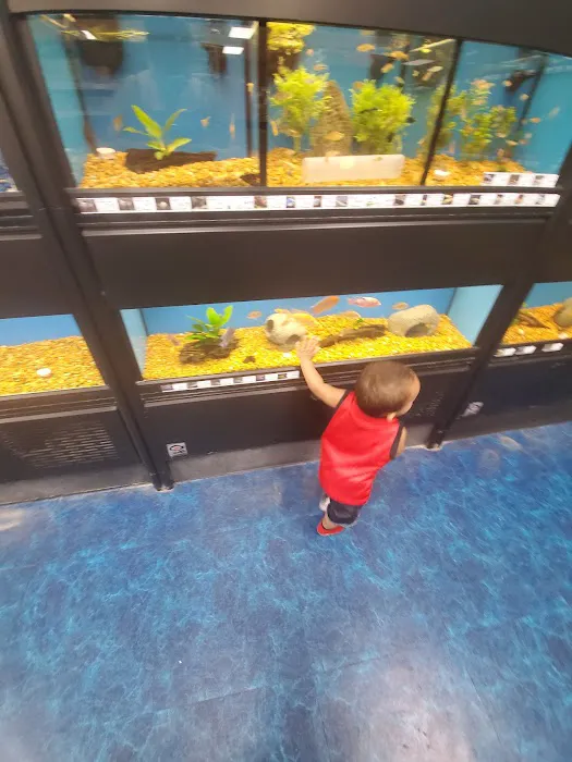 Pet Supermarket Picture 2