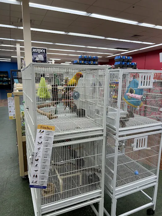 Pet Supermarket Picture 3