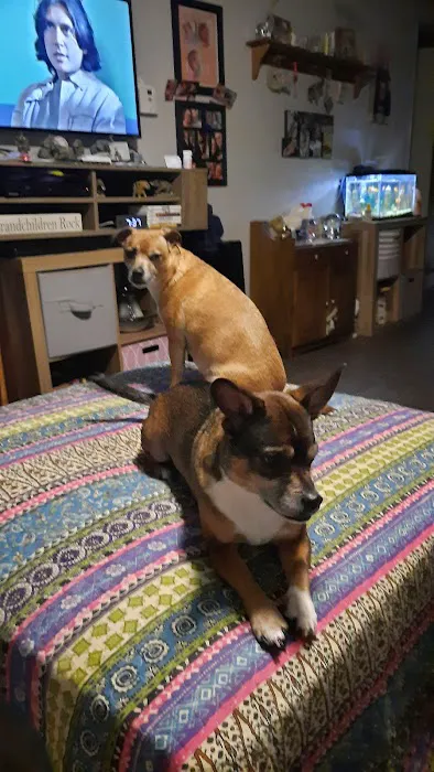 Companion Animal Hospital Picture 1