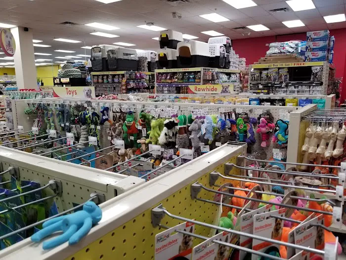 Pet Supermarket Picture 9