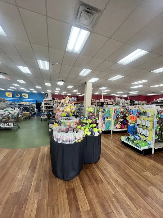 Pet Supermarket Picture 4