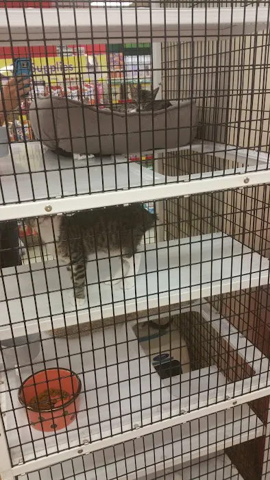 Pet Supermarket Picture 2