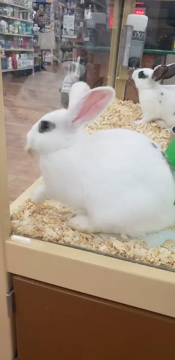 Pet Supermarket Picture 1