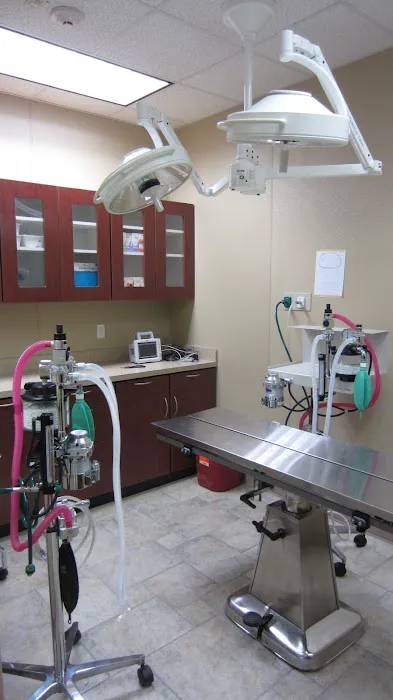 Green Forest Veterinary Hospital of Glen Cove Picture 9
