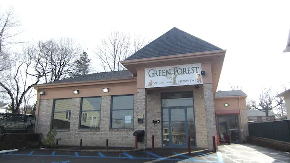 Green Forest Veterinary Hospital of Glen Cove Picture 1