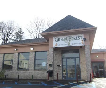 Green Forest Veterinary Hospital of Glen Cove