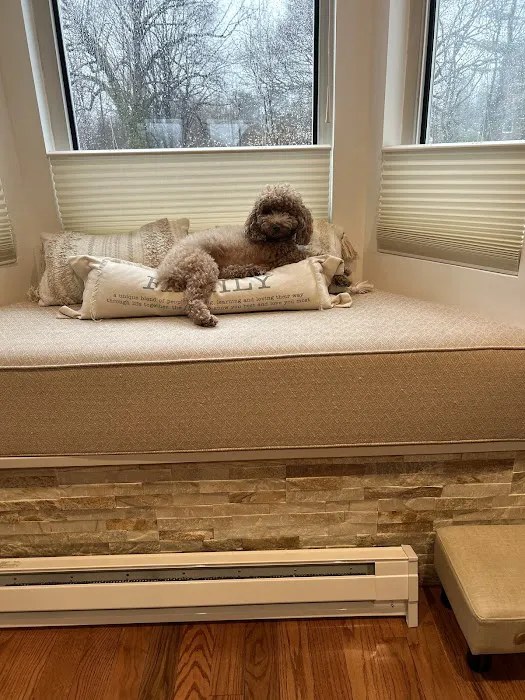 Green Forest Veterinary Hospital of Glen Cove Picture 7