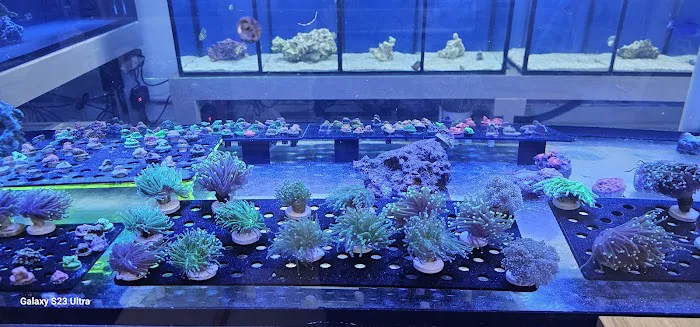 Aquamania Aquarium Store Picture 2