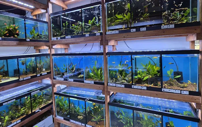Aquamania Aquarium Store Picture 1