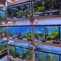 Aquamania Aquarium Store ico