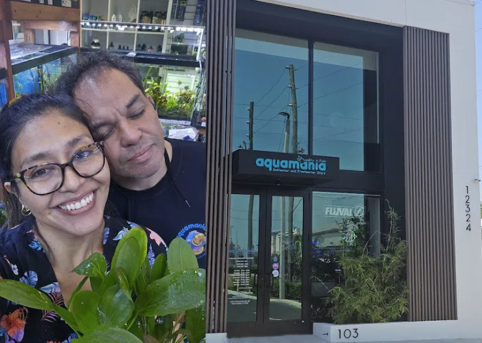 Aquamania Aquarium Store Picture 3