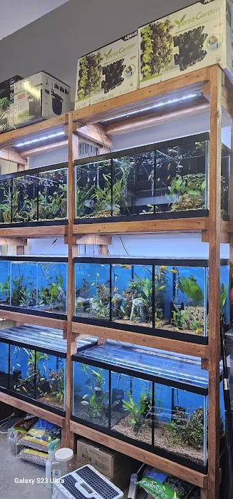 Aquamania Aquarium Store Picture 10