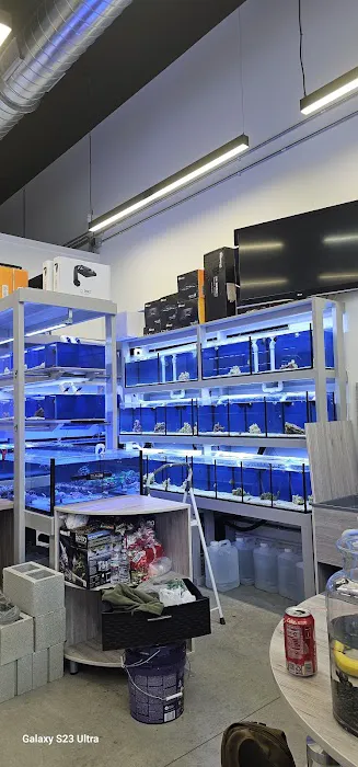 Aquamania Aquarium Store Picture 5