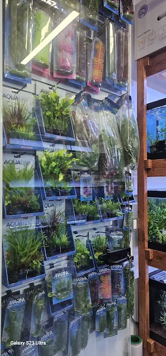 Aquamania Aquarium Store Picture 6