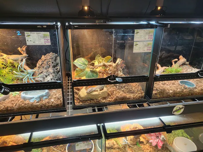 Imperial Reptiles & Exotics Picture 3