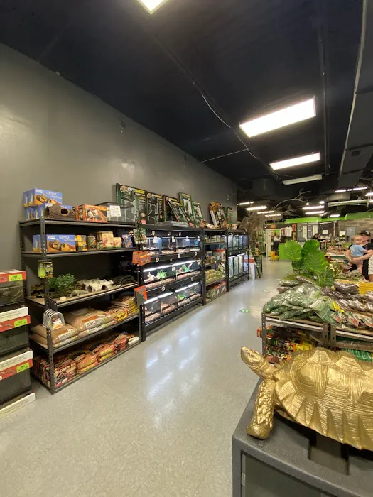 Imperial Reptiles & Exotics Picture 6
