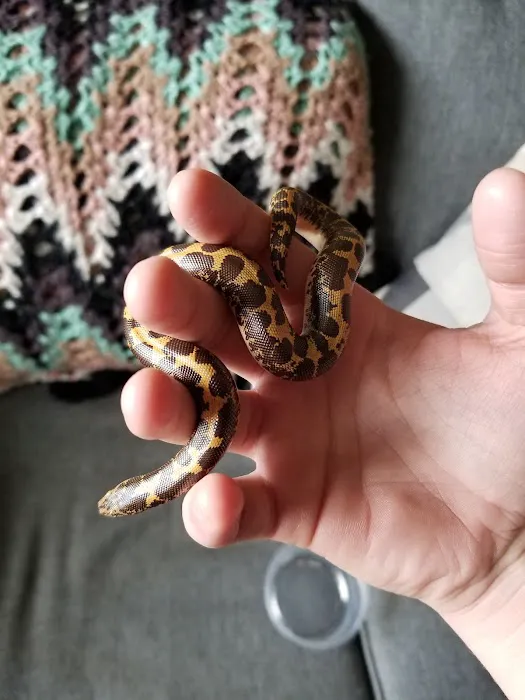 Imperial Reptiles & Exotics Picture 4