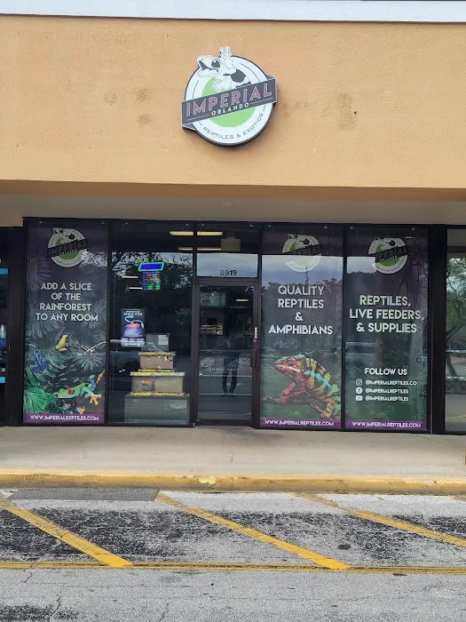 Imperial Reptiles & Exotics Picture 2
