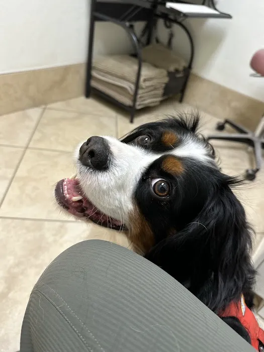 Companions Animal Hospital Picture 9