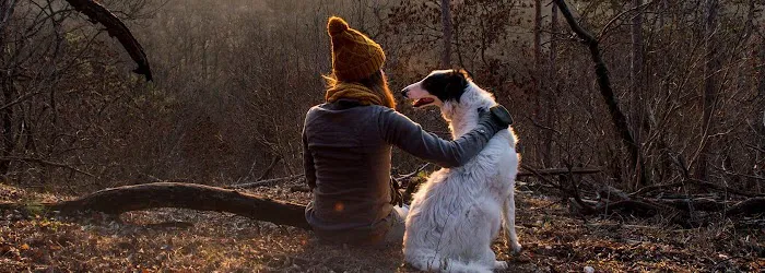 Healthy Foods For Pets Picture 2