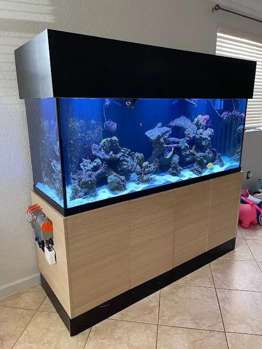 Elite Aquatic Concepts LLC Picture 3