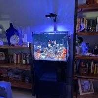 Elite Aquatic Concepts LLC ico