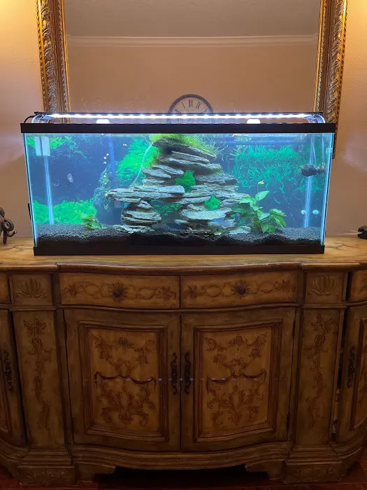 Elite Aquatic Concepts LLC Picture 4