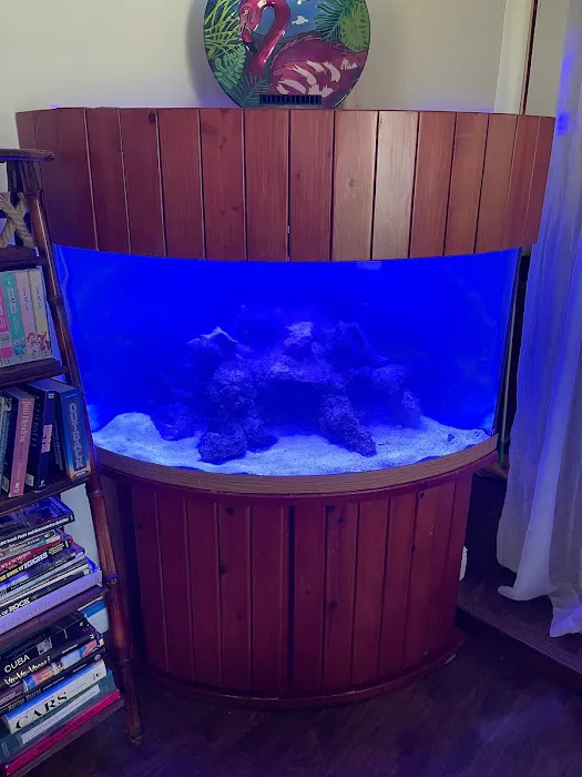 Elite Aquatic Concepts LLC Picture 9