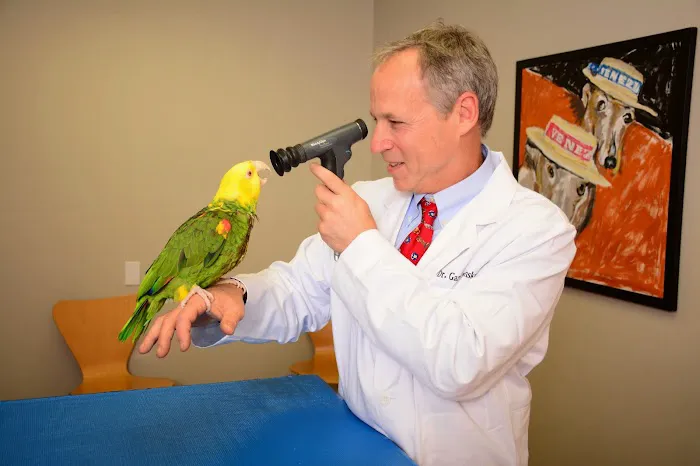 East Bay Veterinary Hospital Picture 4
